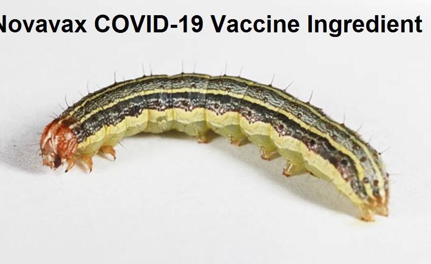  O nouă versiune a vaccinului împotriva Covid-19, care vizează persoanele nejucate – Dr. Meryl Nass |