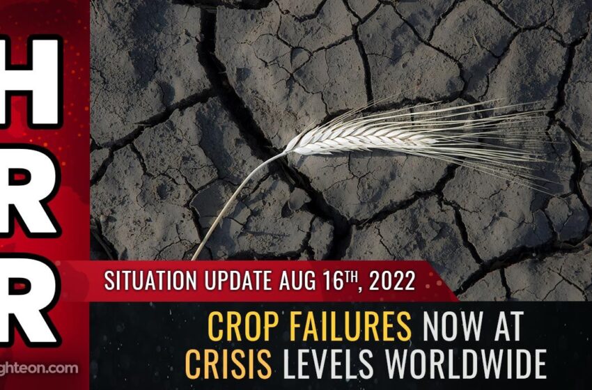  Eșecurile recoltelor acum la NIVELURI DE CRISĂ la nivel mondial, deoarece Națiunile Unite declară război îngrășămintelor