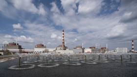  Echipa ONU va vizita centrala nucleară Zaporozhye „în câteva zile” – șeful AIEA |