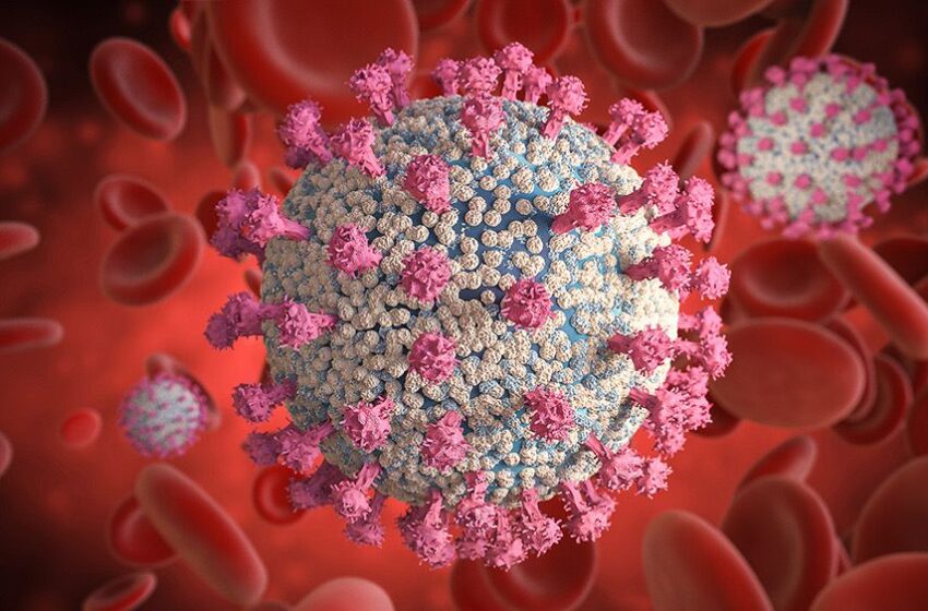  Studiile arată că vaccinurile împotriva COVID-19 provoacă leziuni ale sângelui