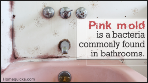  Ce este mucegaiul roz și este dăunător?  |