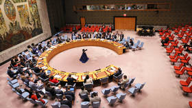 Consiliul de Securitate al ONU votează împotriva investigației asupra biolaboratoarelor din SUA