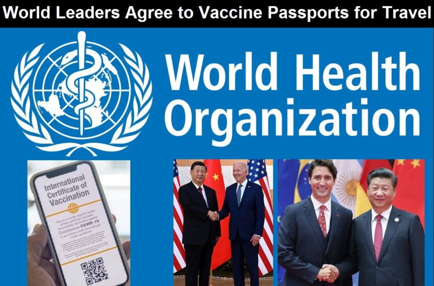  Planul universal de pașapoarte pentru vaccinuri unește lumea |