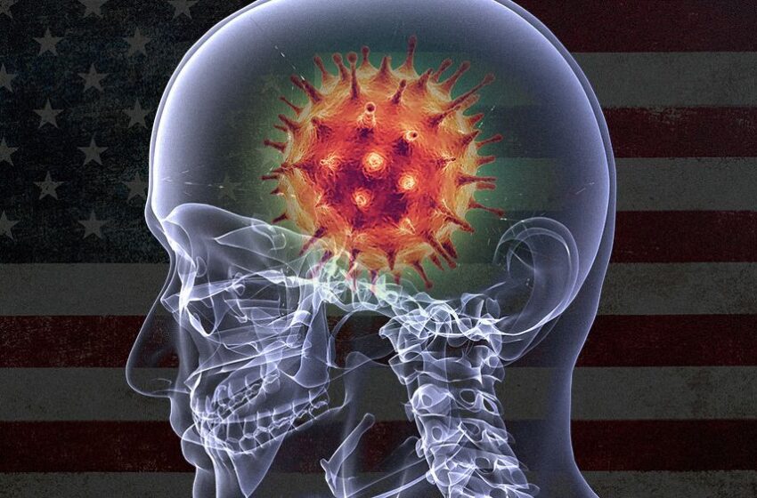  Oaia „Triple-Vaxxed” încep să semene mult cu „Walking Dead”.  • Deteriorarea celulară în creier de la vaccinurile împotriva Covid-19 scade funcționalitățile, ceea ce duce la disfuncții motorii și tulburări neurodegenerative