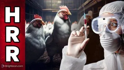  Aprovizionarea cu carne din SUA ar putea fi în curând contaminată pe scară largă cu proteine ​​ARNm din „vaccinuri” biotehnologice