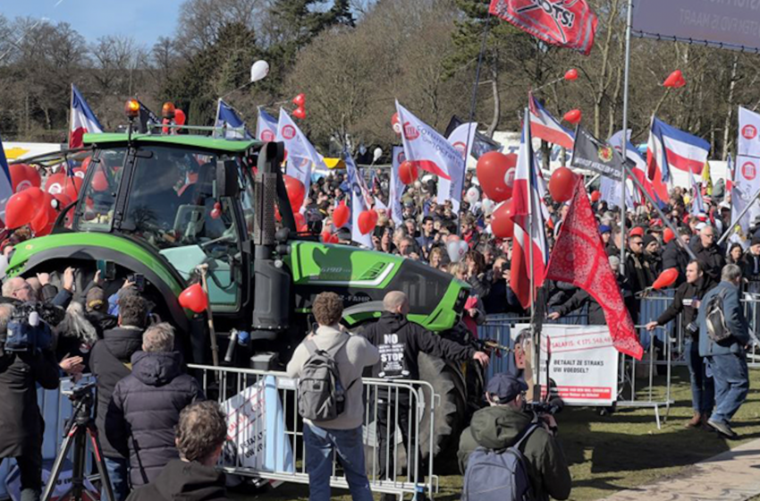  10.000 de fermieri olandezi protestează împotriva obiectivului de emisii de azot al guvernului de la Haga