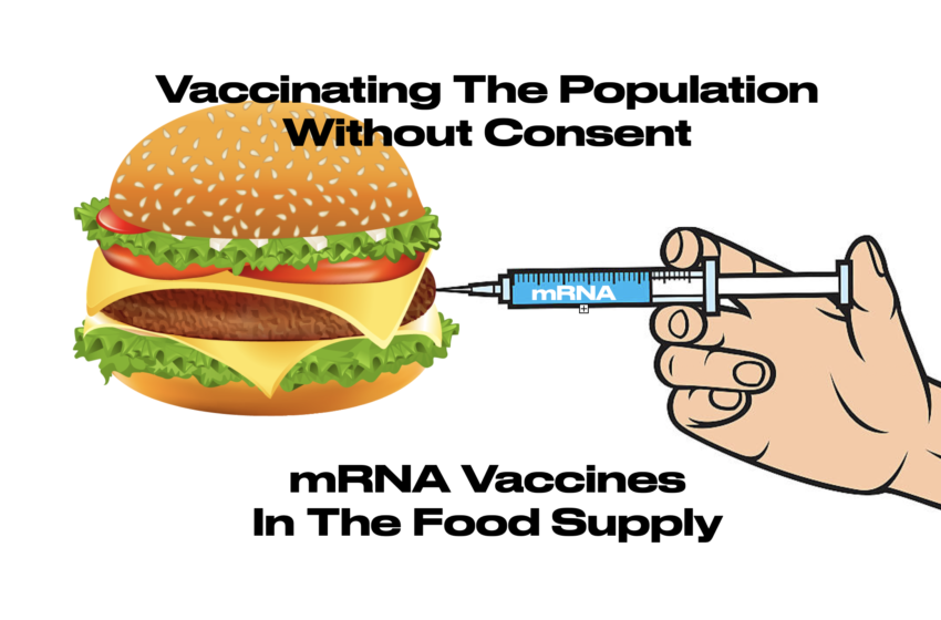  Vaccinuri ARNm intră în vaci și porci luna aceasta