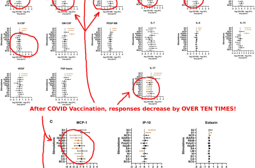  Vaccinul Pfizer împotriva COVID provoacă VAIDS la copii, demonstrează un studiu