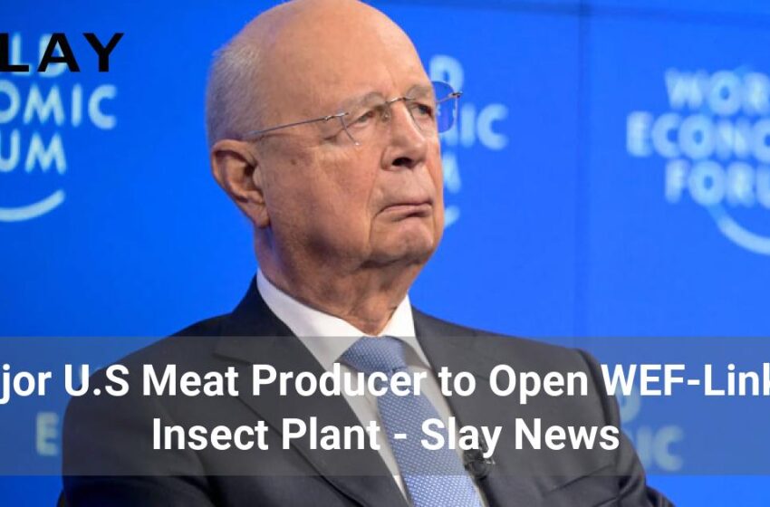  Un mare producător de carne din SUA va deschide o fabrică de insecte legată de WEF