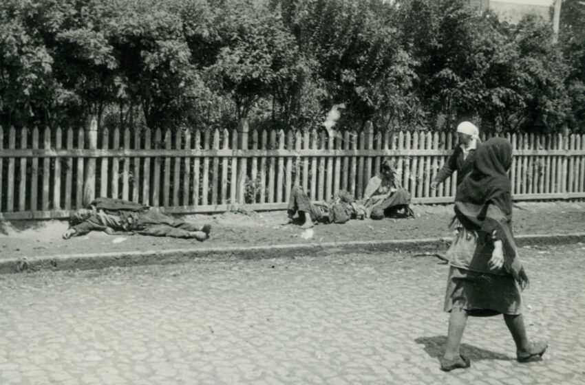  Holodomorul – Teoria originală a conspirației de dreapta |