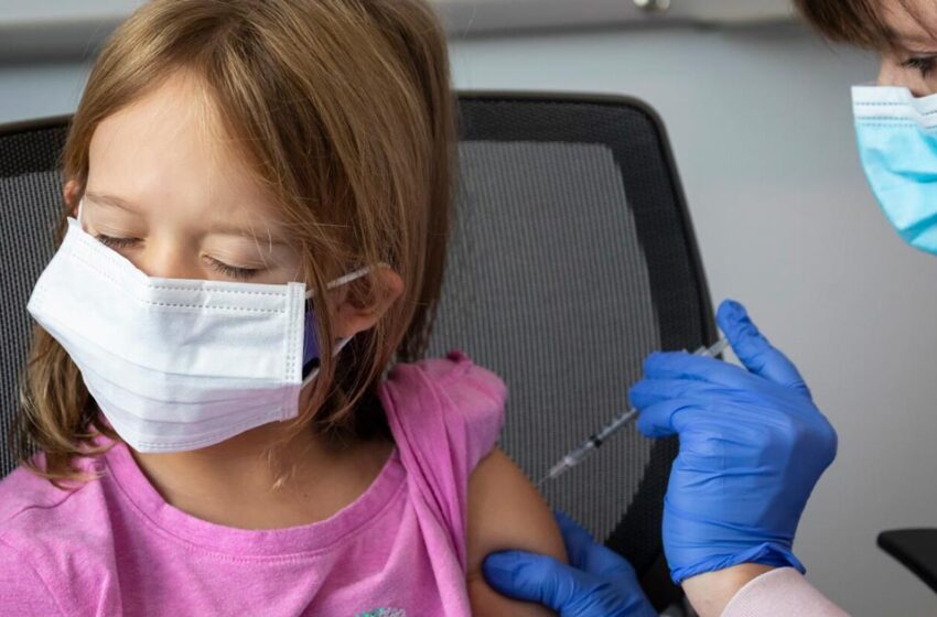  Oamenii de știință expun loturi mortale „fierbinți” de „vaccinuri” Covid